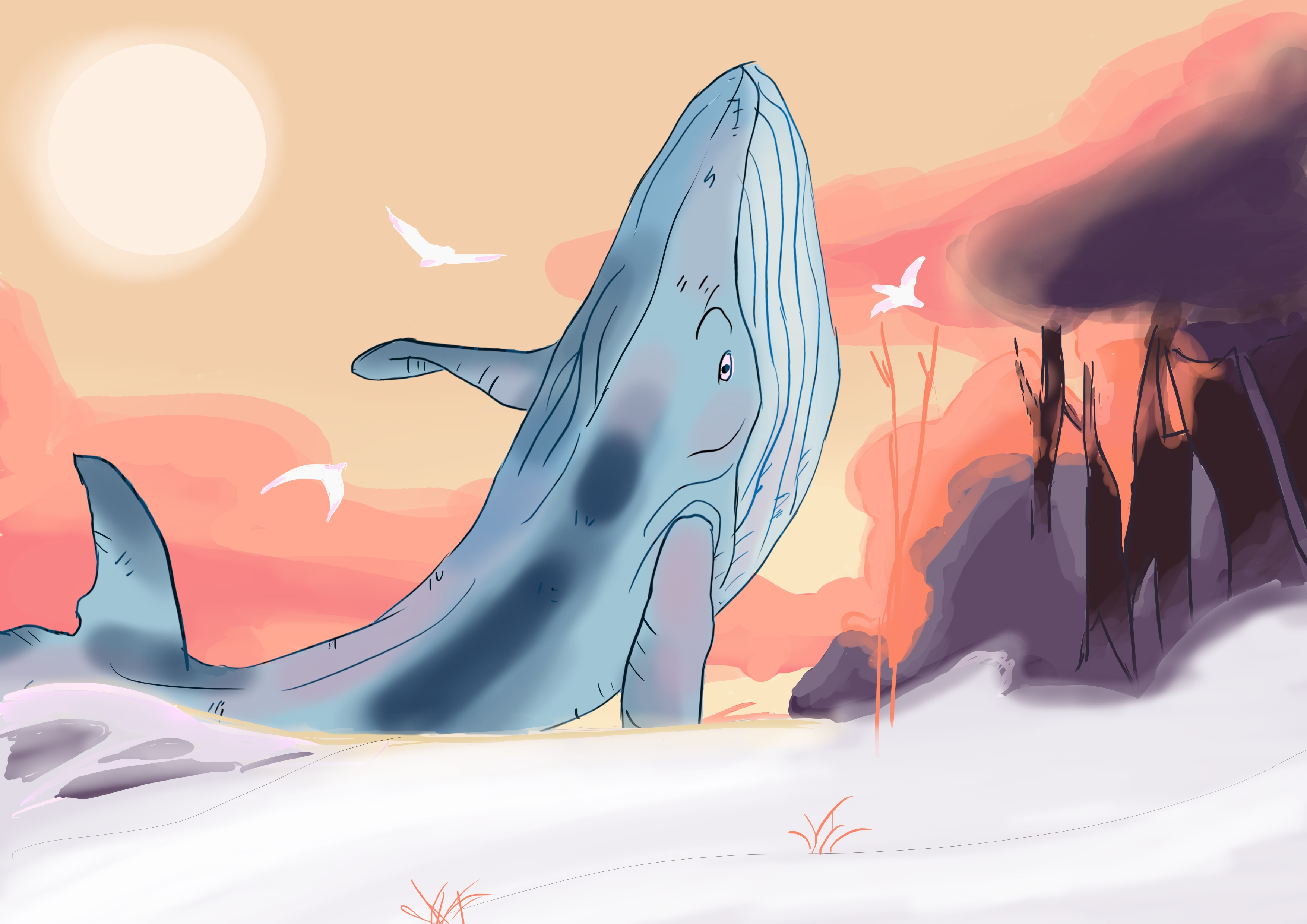 Whale